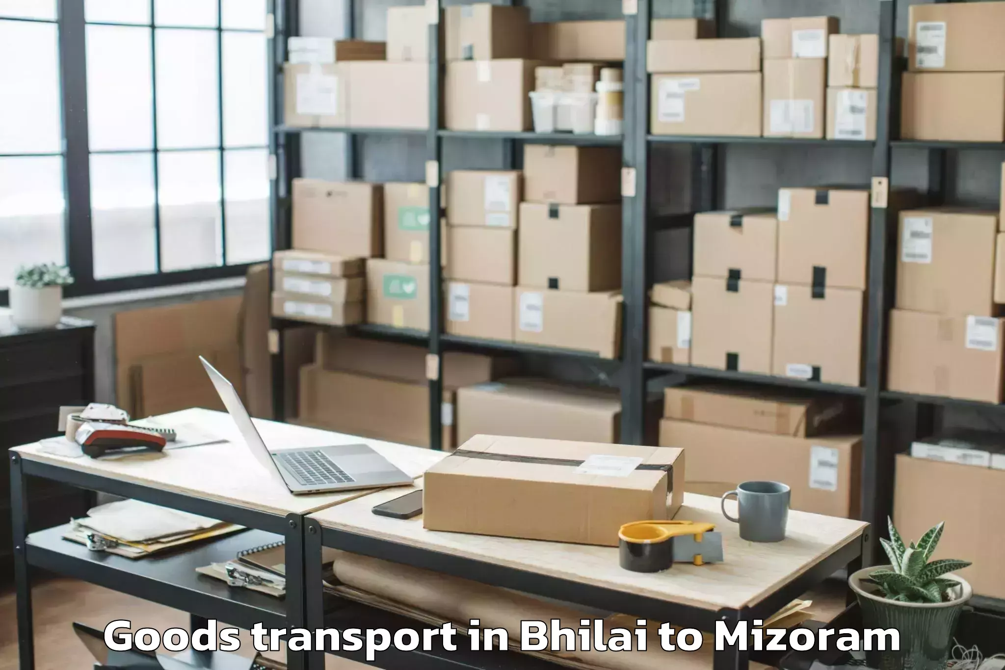 Professional Bhilai to Sairang Goods Transport